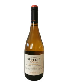 images/productimages/small/bodega-septima-chardonnay-reserva-2020-mendoza.png