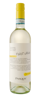 Pasqua Capitolo Pinot Grigio Venezie D.O.C. 2024