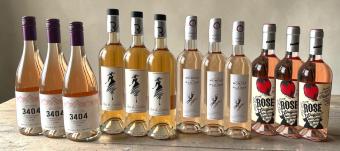 🩷 Rosé-Sommerpaket – Sonniger Genuss + GRATIS Flasche Anna de Codorníu Blanc de Blancs Cava!