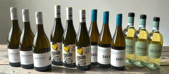 🤍 Coffret d'Été Blanc 12fl. – Frais & Élégant + Bouteille de Cava Anna Blanc de Blancs offerte !