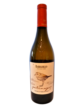 Barbadillo Patinegro Palomino Organic wine 2020